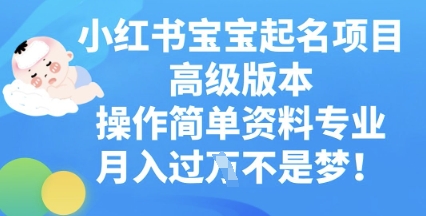 小红书宝宝起名项目高级版本，操作简单，资料专业，月入过W-知拾光-汇聚优质知识，拾获理想前程。