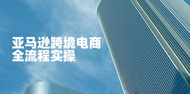 （14252期）亚马逊跨境电商全流程实操，教你从零开始，掌握店铺运营与广告技巧-知拾光-汇聚优质知识，拾获理想前程。
