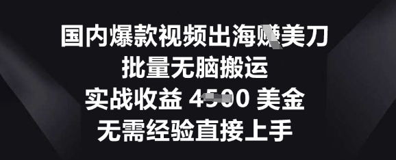 国内爆款视频出海挣美刀，批量无脑搬运，实战收益4.5k，无需经验直接上手-知拾光-汇聚优质知识，拾获理想前程。