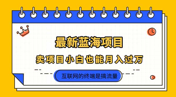 （14289期）2025年最新蓝海项目，卖项目小白也能月入过万-知拾光-汇聚优质知识，拾获理想前程。