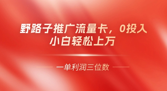 0门槛推广流量卡，一单收益上百，0投入，小白月入过W-知拾光-汇聚优质知识，拾获理想前程。