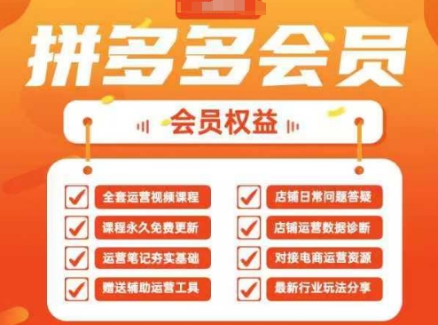 2025拼多多运营实战课，40节全流程教学，覆盖拼多多运营全链路-知拾光-汇聚优质知识，拾获理想前程。